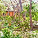Ferienpark Lacona Pineta Capoliveri (Isola d'Elba)