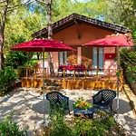 Lacona Pineta Ferienpark 3*