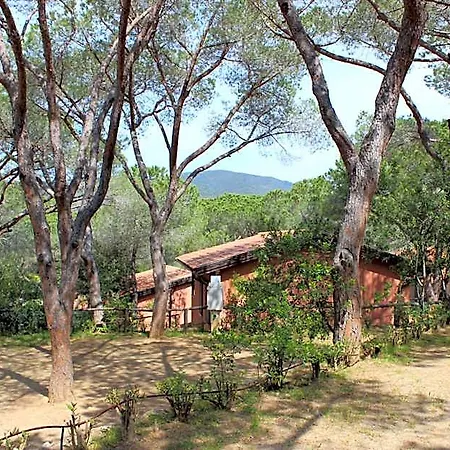 Lacona Pineta 3* Capoliveri (Isola d'Elba)