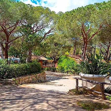 Lacona Pineta Semesterpark 3*