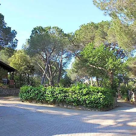 Lacona Pineta Capoliveri (Isola d'Elba)