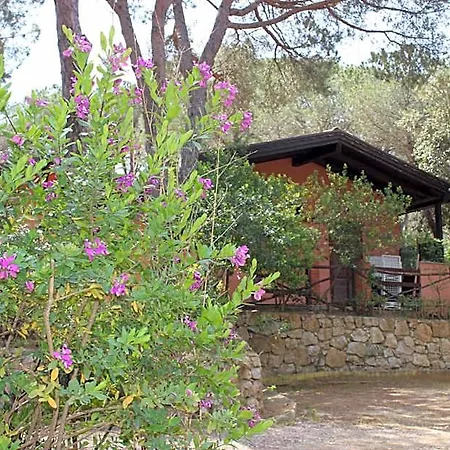 Lacona Pineta
