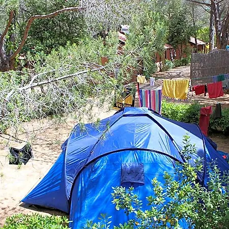 Lacona Pineta Semesterpark