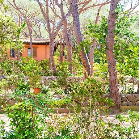 Prázdninový areál Lacona Pineta Capoliveri (Isola d'Elba)