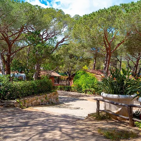Lacona Pineta Parco vacanze 3*