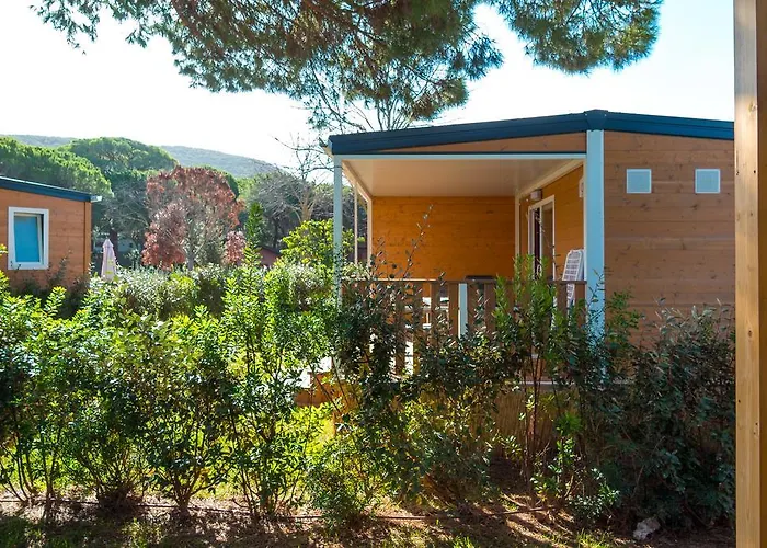 Lacona Pineta Üdülőpark 3*