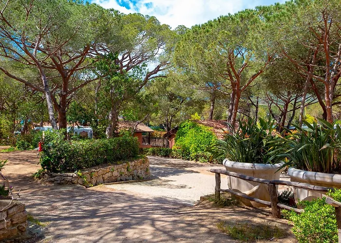 Lacona Pineta Üdülőpark 3*